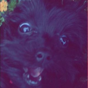 Meet your Posher, Ana